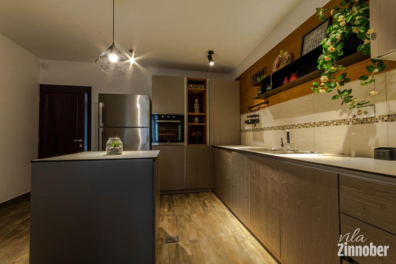 Vila Zinnober Braszów Zewnętrze zdjęcie